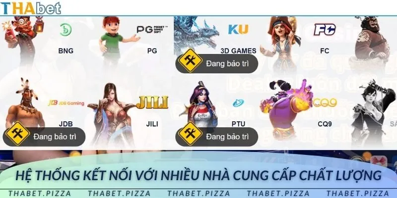 Hệ thống kết nối với nhiều nhà cung cấp chất lượng